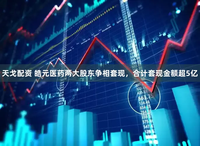 天戈配资 皓元医药两大股东争相套现，合计套现金额超5亿