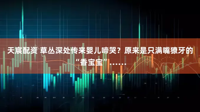 天宸配资 草丛深处传来婴儿啼哭？原来是只满嘴獠牙的“香宝宝”……