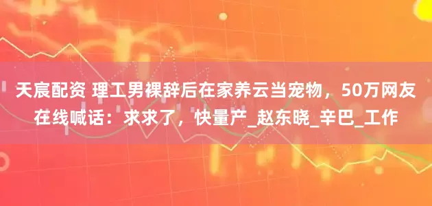 天宸配资 理工男裸辞后在家养云当宠物，50万网友在线喊话：求求了，快量产_赵东晓_辛巴_工作